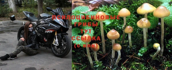 гидра Балабаново