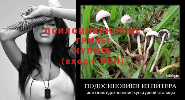 гидра Балабаново