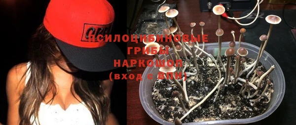 спиды Балахна