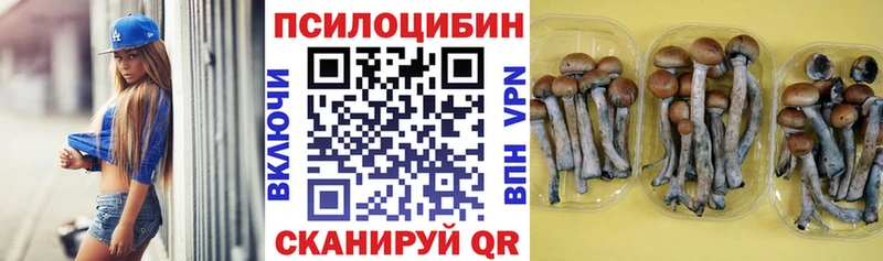наркошоп Туринск Галлюциногенные грибы прущие грибы